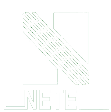 Netel India Logo